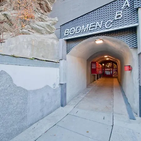 Haus Bodmen C, Edelweiss