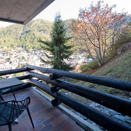 Haus Bodmen C, Edelweiss