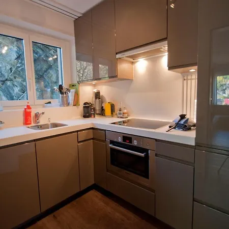Haus Bodmen C, Edelweiss Appartement